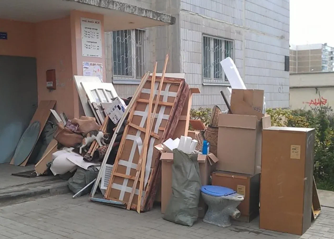 Профессиональный вывоз мусора из квартиры в Липецке в октябре
