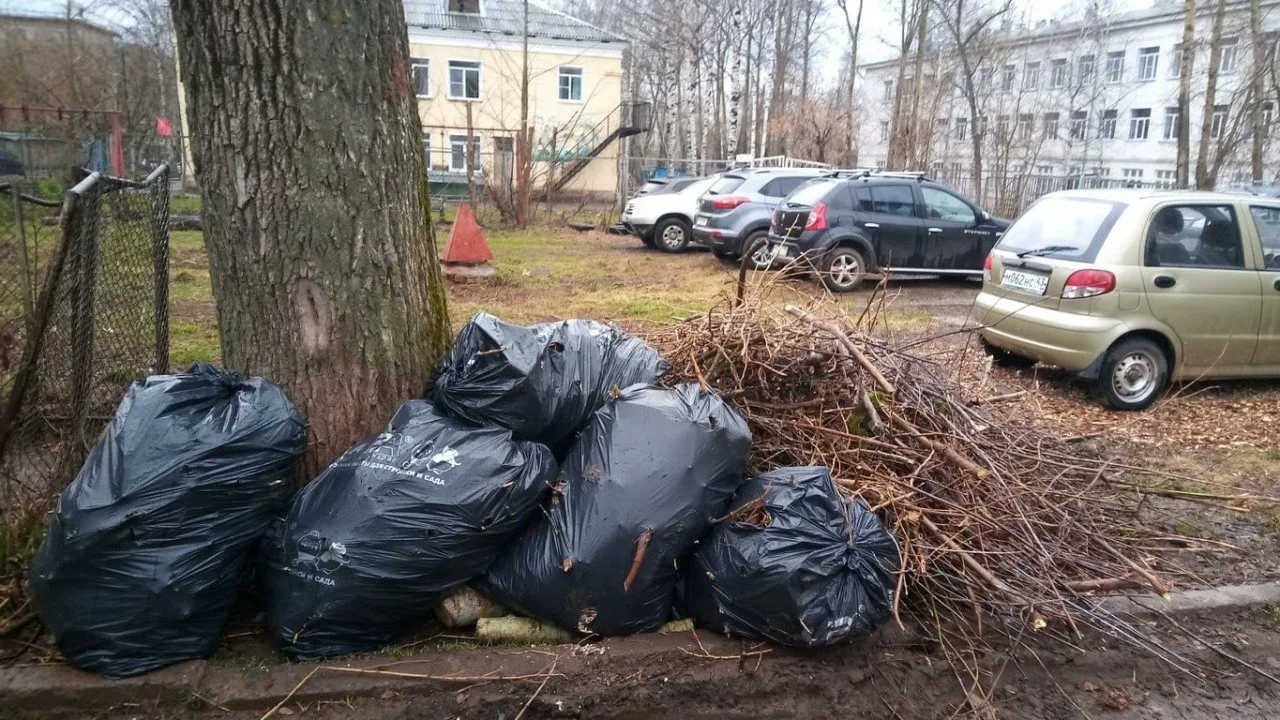Вывоз мусора после субботника в Липецке от ПроМусор – уборка и утилизация отходов от 2443 руб