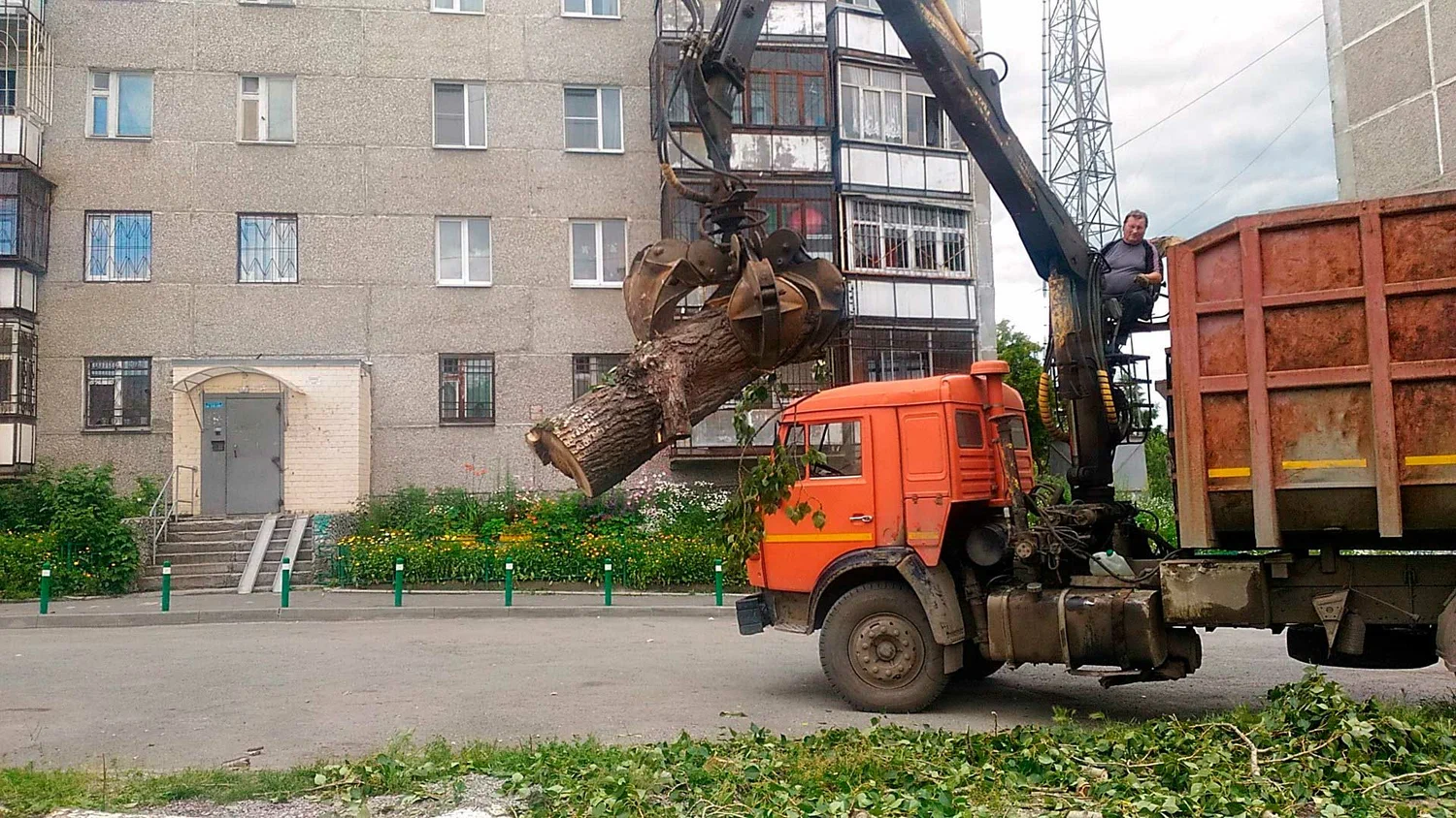 Вывоз спиленных веток и деревьев в Липецке от ПроМусор: порубочные остатки, утилизация, цена от 3014 руб