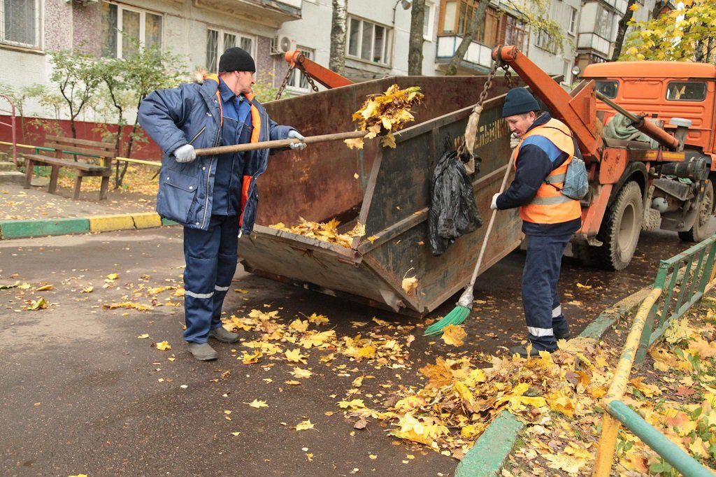 Вывоз опавшей листвы и растительного мусора в Липецке от ПроМусор – цена от 4677 руб., быстрая уборка и утилизация